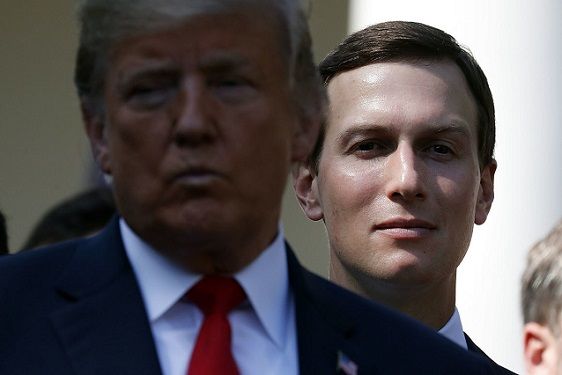 Kushner�The Idiot