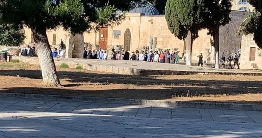 Scores of settlers defile Aqsa under police protection