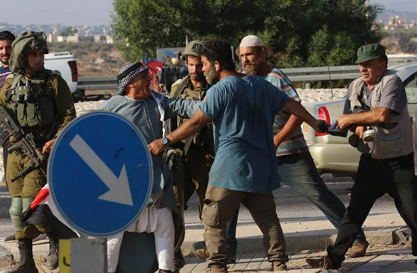 West Bank: Israeli settler rams car into Palestinian protester