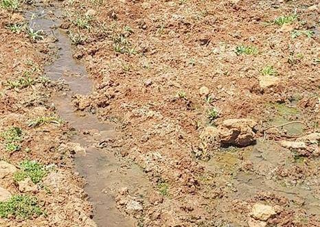 Settlement pumping sewage water towards land of village near Ramallah