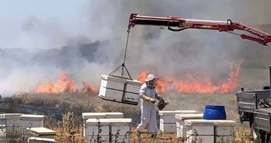 Incendiary balloons spark 26 fires in Gaza settlements