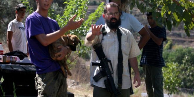 Israeli settlers assault Palestinian shepherds in the Jordan Valley