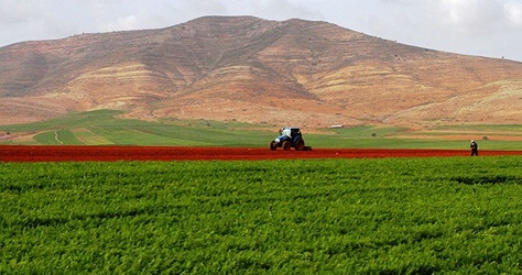 Bokayaa Plain, confiscations to uproot Palestinians