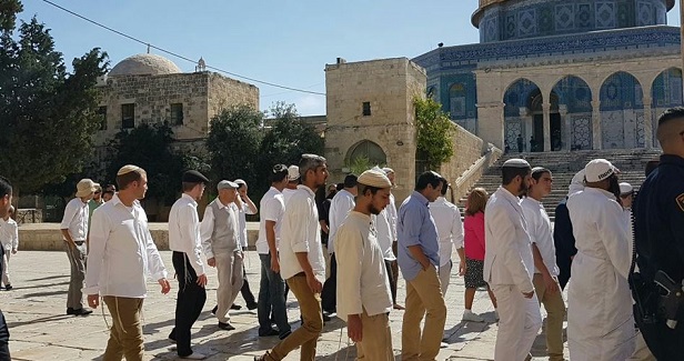 102 Israeli settlers break into 3rd holiest site in Islam