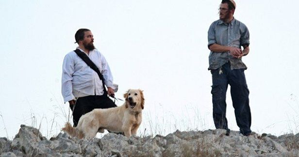 Israeli settlers seize Palestinian lands in Jordan Valley