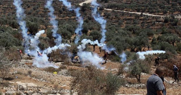 Palestine rises up in �Friday of Rage� in support of the prisoners