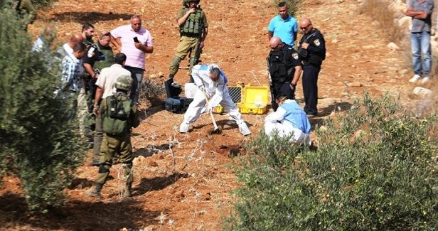Palestinian farmer, his child kidnapped by IOF from olive grove