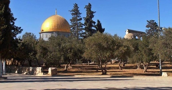 Sheikh Kiswani warns of Judaization projects around Aqsa Mosque