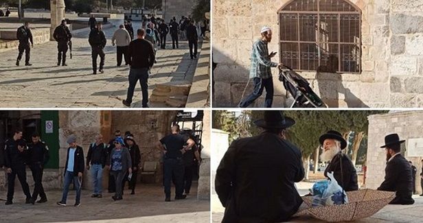 Over 140 settlers defile Aqsa Mosque