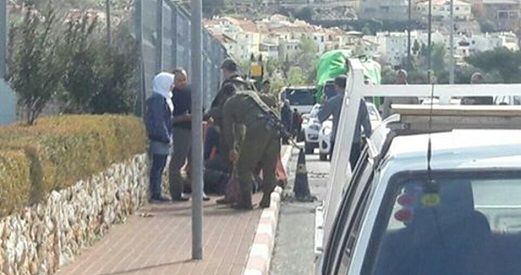 IOF arrests young girl for allegedly intending to stab soldier