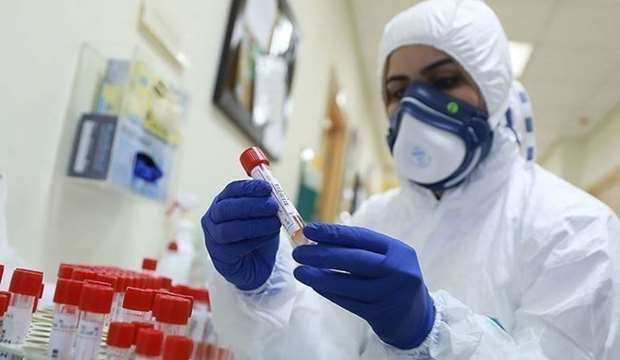 14 corona deaths and 10,057 new cases in Palestine in one week