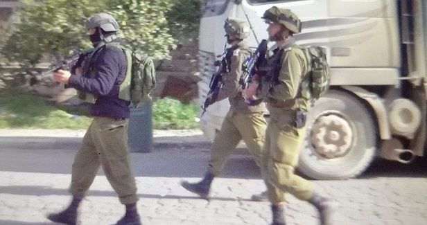 IOF launches large-scale search campaign in Jenin