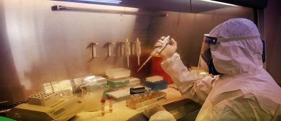 Two new corona deaths, 536 new cases in Palestine within 24 hours