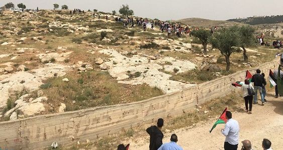 Israel military to grab hold of 200 dunums of Palestinian land