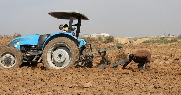 EU provides �317,000 to support farmers in West Bank