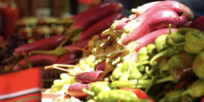 In Battir, the Eggplant Festival to encourage local production and Palestinian culture