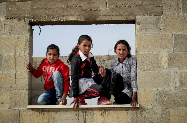 �Feeding a Bedouin�: Roy Oz and Israel�s outrageous racism