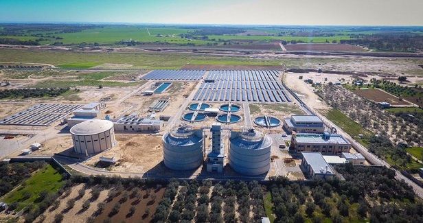 Wadi Gaza starts to restore its days of glory as nature reserve