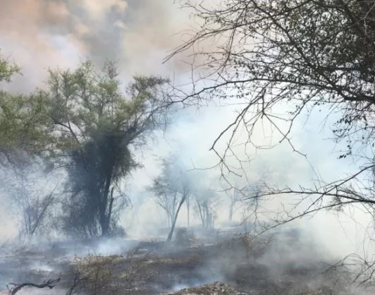 Incendiary balloons spark fires in Israeli communities near Gaza