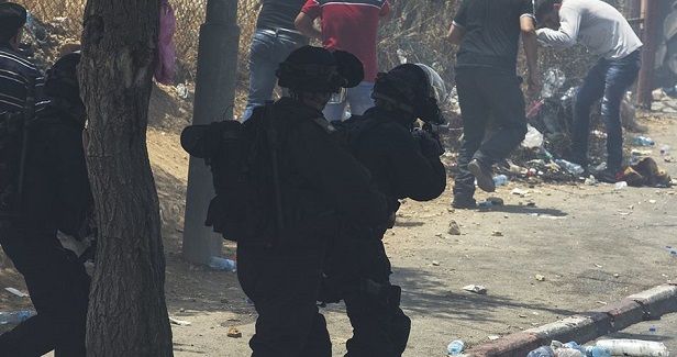 Nine Palestinians injured in clashes with IOF in J�lem