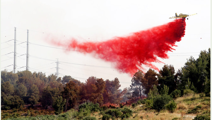Palestine, Egypt offer air support as Israel battles wildfires