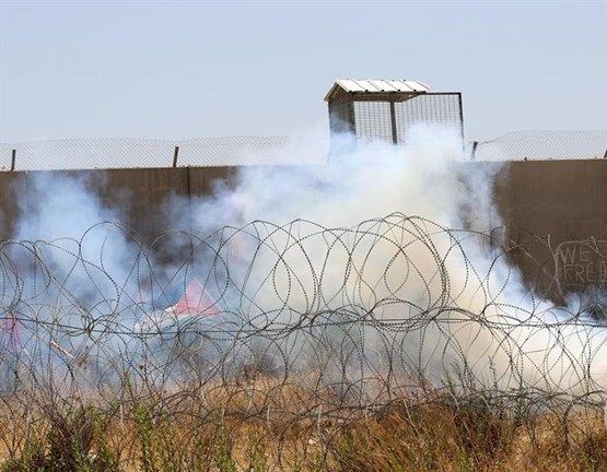 Israeli tear-gas bombs burn dozens of olive trees