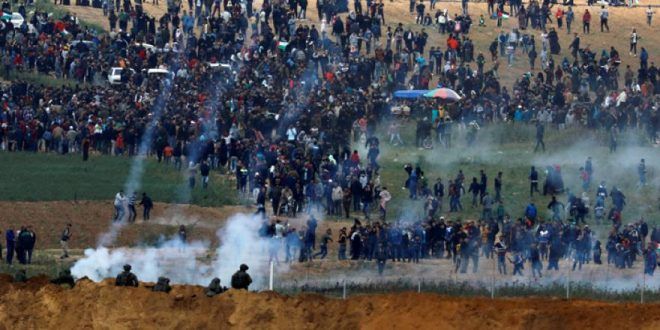Report: 290 Palestinians killed by IOF in 2018