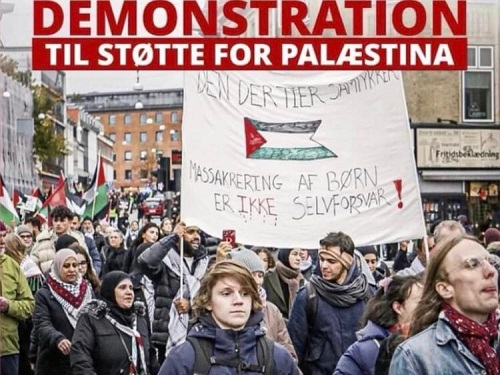 مظاهرات حاشدة في مدن المملكة الدنماركية لوقف العدوان على غزة