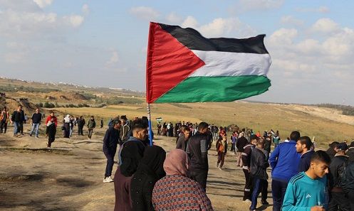 �� ����� 