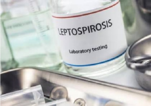 ��� ��� ���� ����� ������ ��