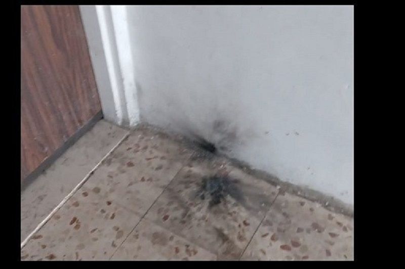 ������ ��� ������ ���� ����� ������� ������� ������� �� ������