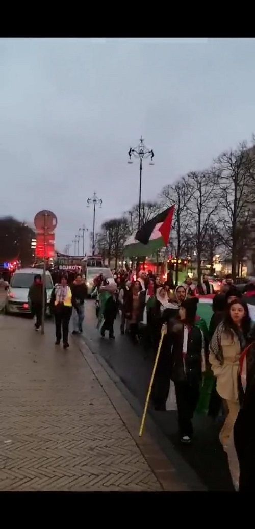 مظاهرة جماهيرية حاشدة في مدينة هلسنبوري السويدية تطالب بوقف الحرب الإجرامية الإسرائيلية على غزة