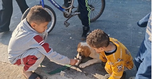 ����� �������� �� �� �����.. ��� ����� ����� ����� ������ ���� �� ����� ��� �������