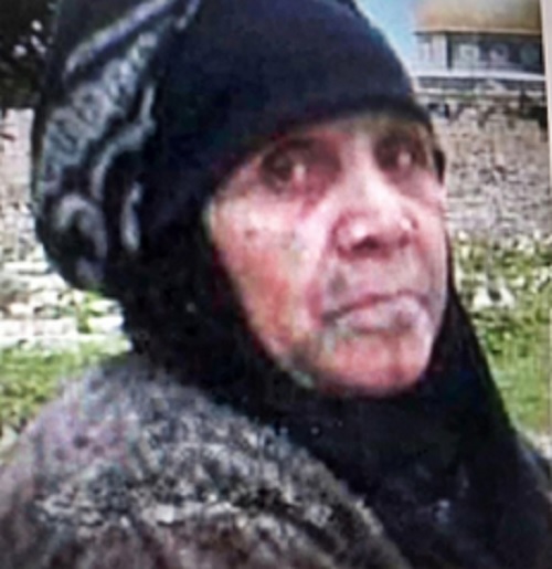 ���� ������. ���� ���� ������ �������� �� ���� �����