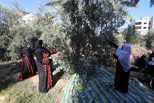 ���� ��� ������� �� ���� ���� ���� ��� ������ ��������� �����