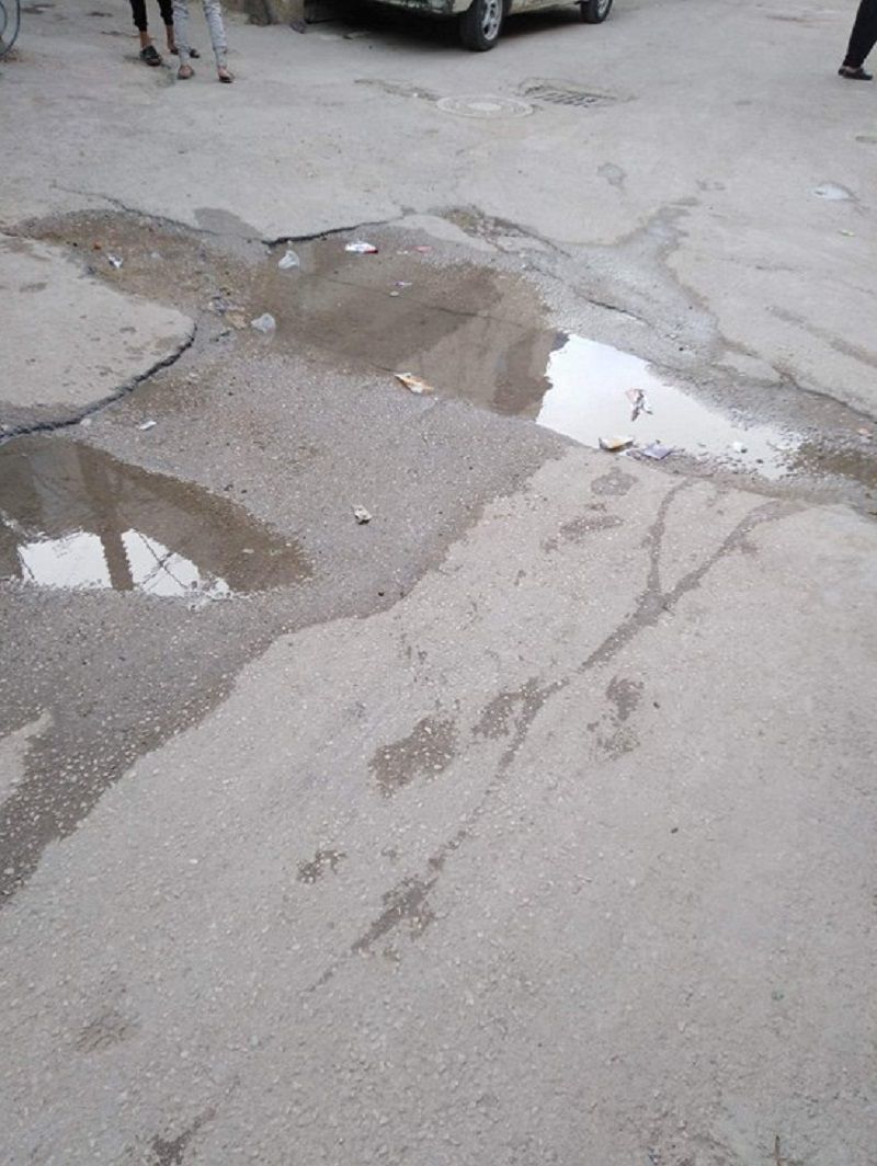 ����� ���� �� ���� ������ ���� ����� ��� �������