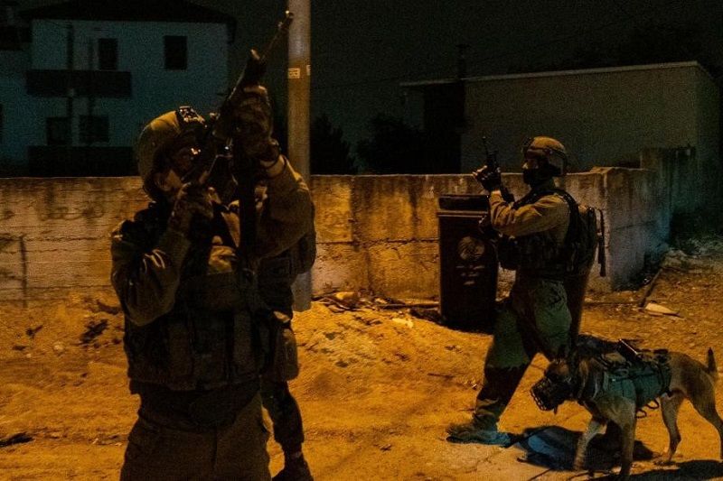 �������� �������� ������ ���� ���� �����