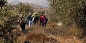 ���� ����� ��� ��� ����� ��� ��� ����� ���� � ���� ������� ����� ������