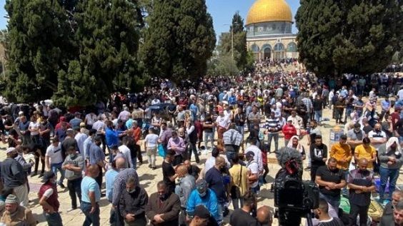 ������� ����� ����� �����