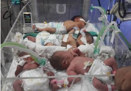 �����: ������ ���� �� ��� �������� ����� ���