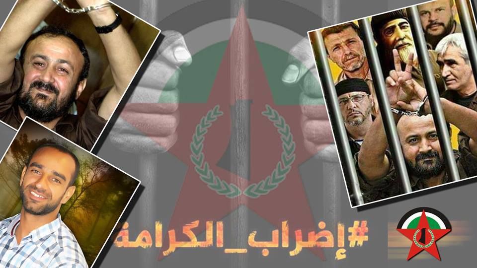 �������� ������ �������� ������ ������ ��������