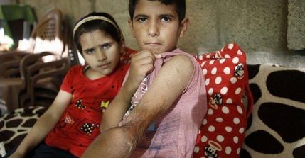 ���� ������ 