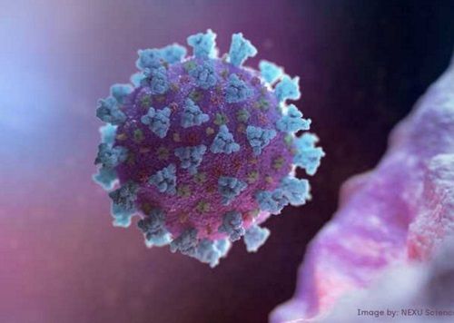 ����� ������ ��������� ������ ������� �� ����� ������ ������