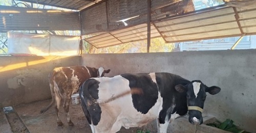 ����� ������� �� ���� ��������: ��� ��� �� ������ ��� ������ ����� �����