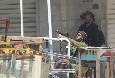 �������� ���� ����� ���� ���� ������ ����� ������ ������� �������