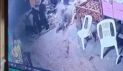 ����� ��� ������� �� ���� ��� �������� �������� ���� �����