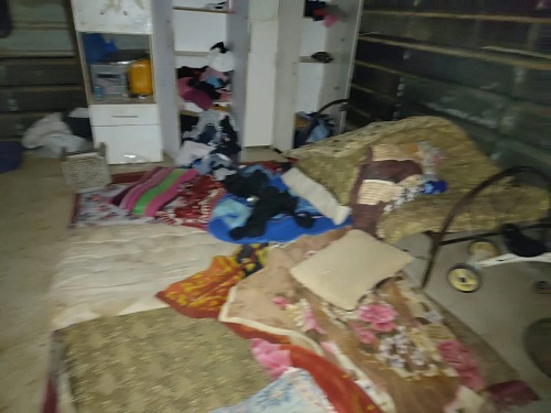 “بالصور ” مستوطنون يهاجمون منزلًا شرق الطيبة برام الله ويحطمون محتوياته ويسرقون أموالًا و25 رأسًا من الأغنام