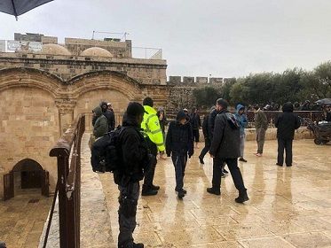 ���� ����.. 2068 �������� ������� ������ ������