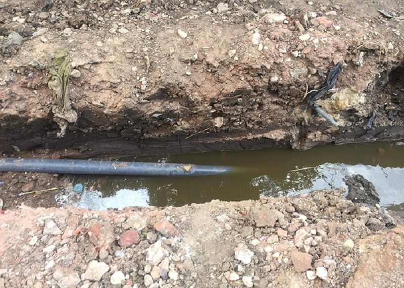 ������ ������ ������ ����� ����� ���� ����� ���� ����