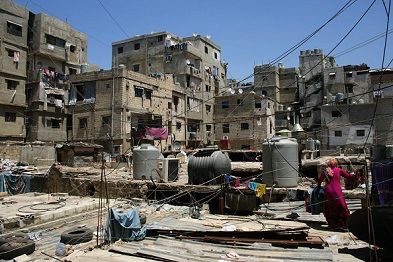 ����� ������ ���� ������ �������... �������